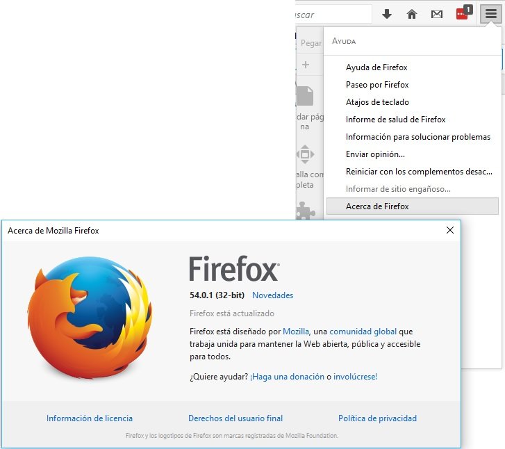 ScreenShot en Firefox