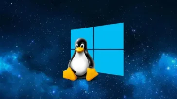 Kubuntu: 7 Razones Poderosas para Cambiarte desde Windows en 2025 12 Kubuntu Windows 11